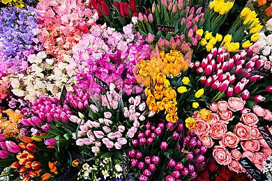 《黑神话：悟空》又上央视节目：用脑机接口游玩很棒