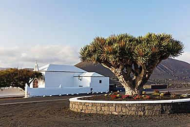 《漫威复仇者联盟》新增《英雄远征》蜘蛛侠服装 1月28日上线